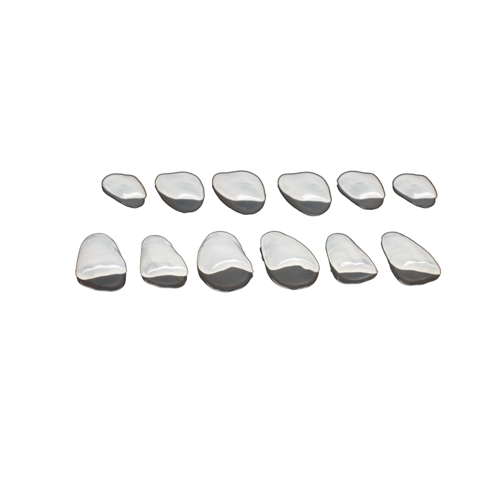 edelweiss Dentistry 2 Veneers Refill Set: 12/22 Extra Small (1x 12, 22 XS)