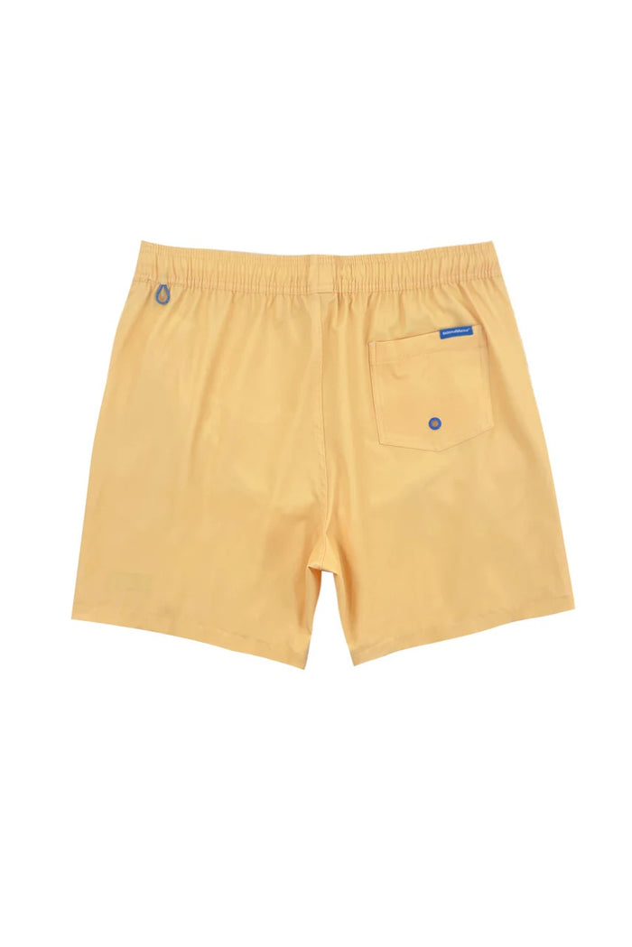ISLAND HAZE LAVANA 6" STRETCH SOLID VOLLEY SHORT PINEAPPLE MENS SHORTS