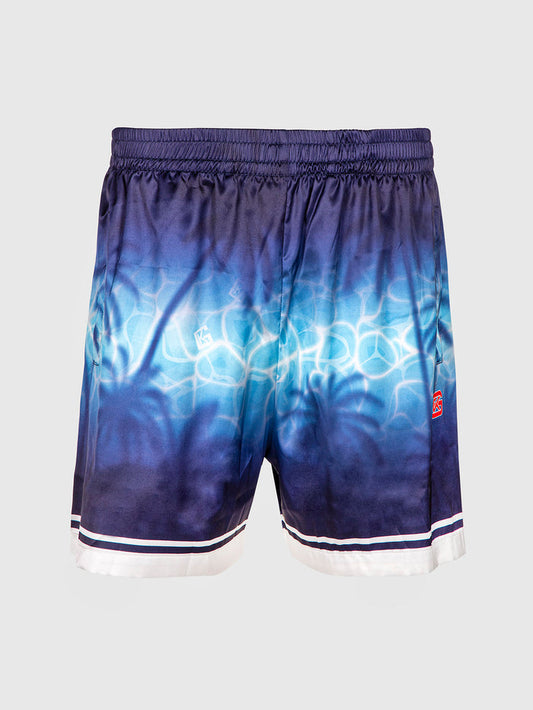 shorts / Blue Pool Satin Shorts