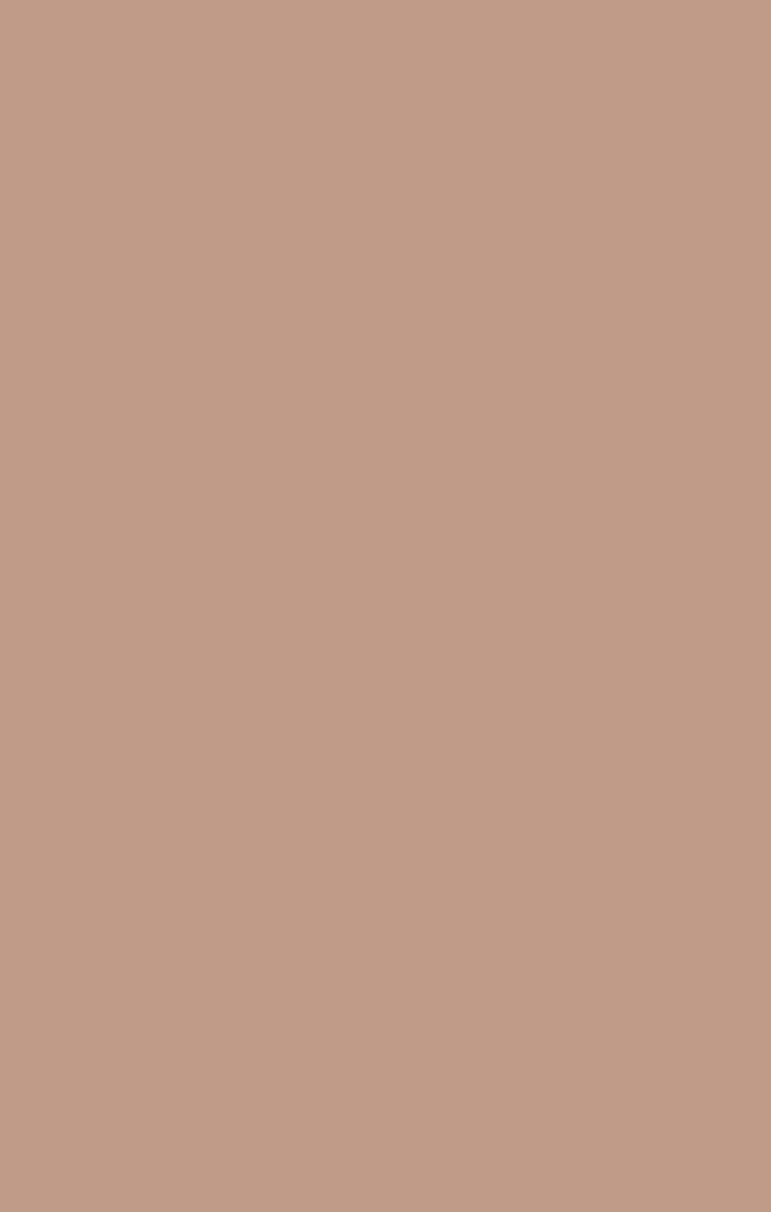 Soft Beige Chiffon