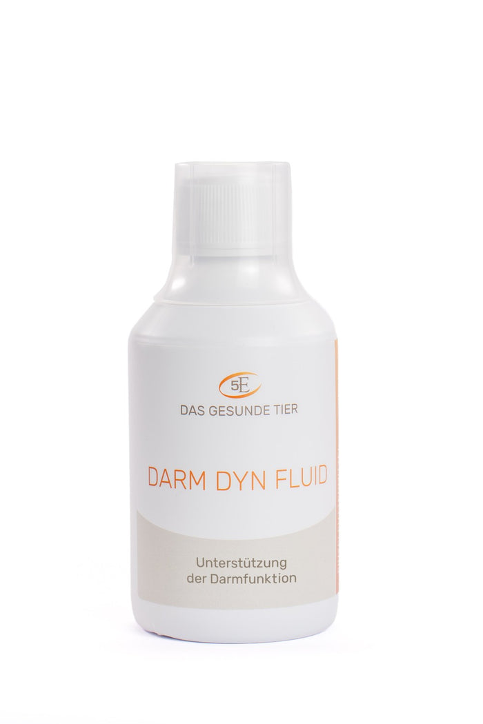 Das Gesunde Tier Darm Dyn Fluid
