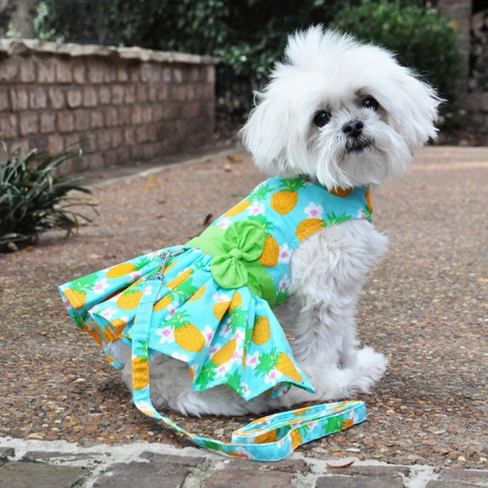 PINEAPPLE-LUAU-DOG-PARTY-DRESS-BOULDERBARKS