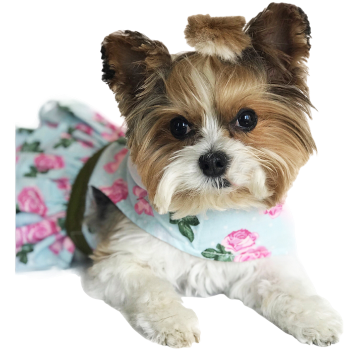 PINK-ROSE-DOG-PARTY-DRESS-BOULDERBARKS