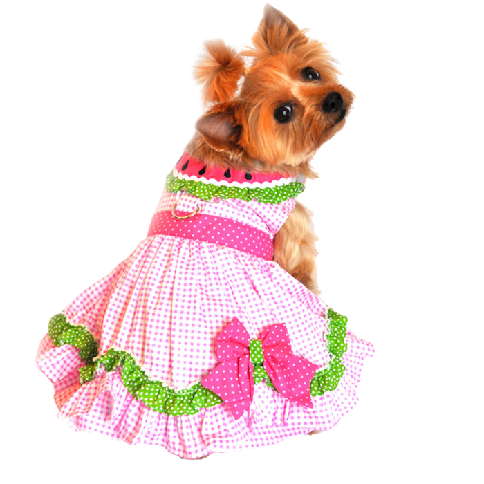 WATERMELON-DOG-PARTY-DRESS-BOULDERBARKS