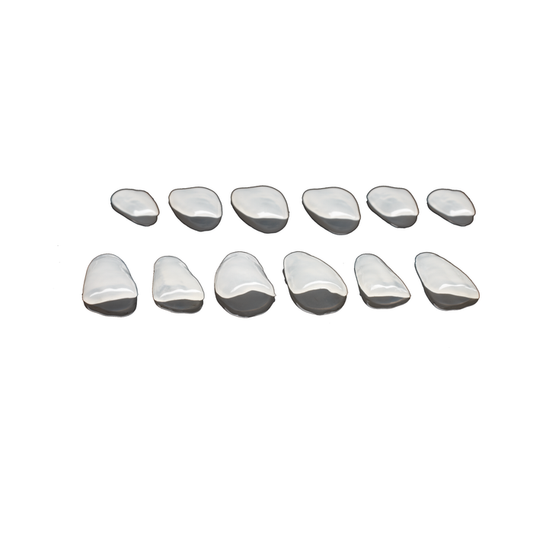 edelweiss Dentistry 2 Veneers Refill Set: 11/21 Large (1x 11, 21 L)