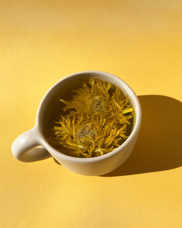 A white ceramic cup with chrysanthemum flowers steeping in hot water, set against a bright yellow background, illustrating the Floral Collection (Variety Box) | The Qi.