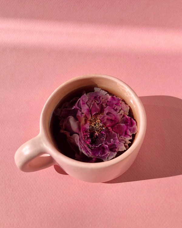 Top view of a pale pink ceramic cup holding a deep purple dried flower on a soft pink surface, featured in the Floral Collection (Variety Box) | The Qi.