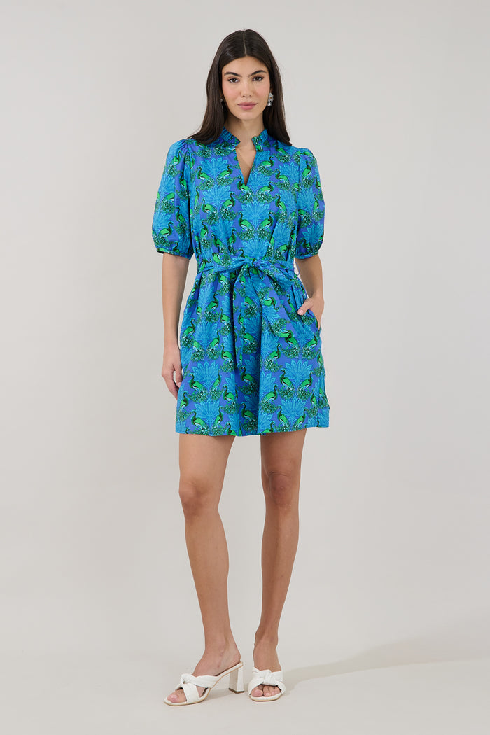 Genia Shift Mini Dress Peacock