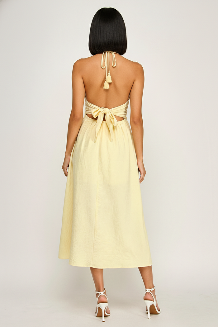 Halter Neck Open Back Self Tie Maxi Dress
