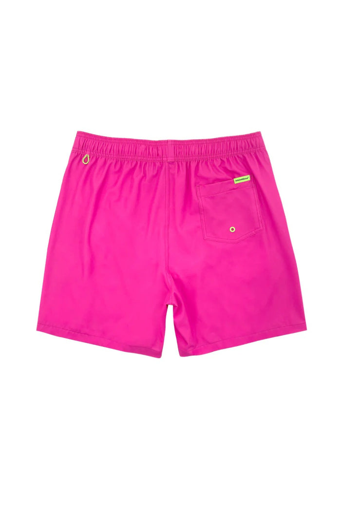 ISLAND HAZE LAVANA 6" STRETCH VOLLEY SHORT NEON PINK MENS SHORTS