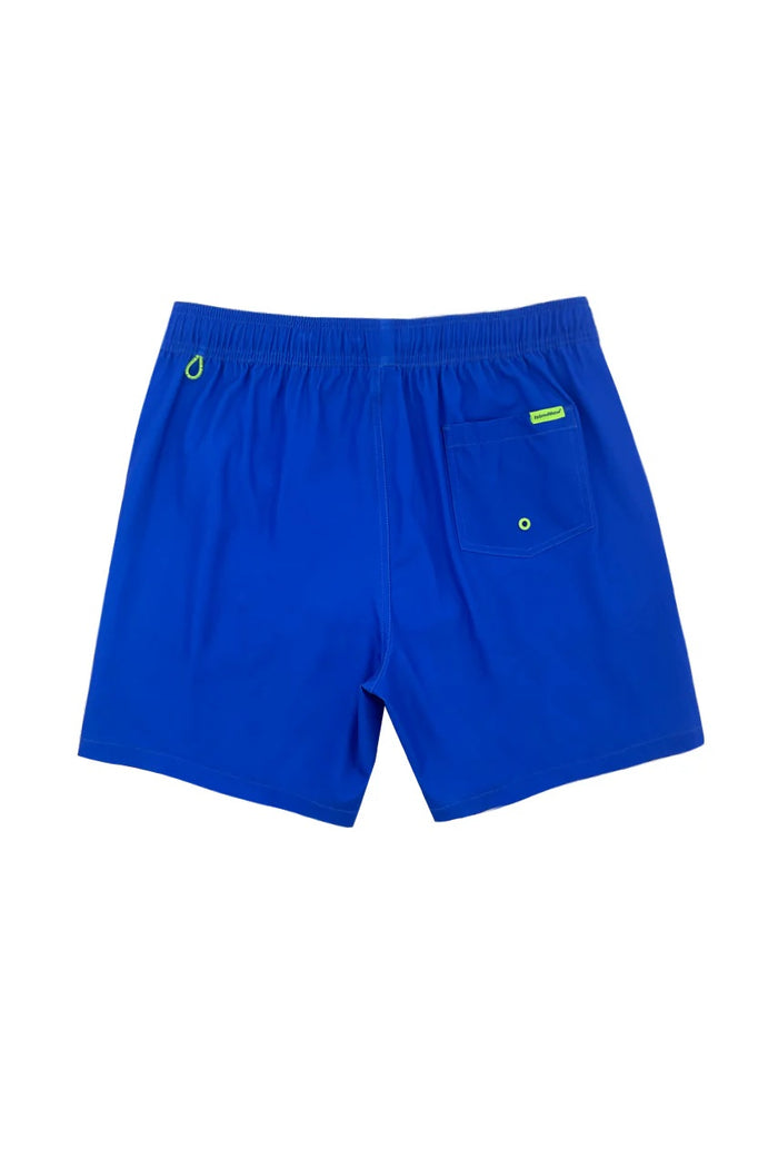ISLAND HAZE LAVANA 6" STRETCH VOLLEY SHORT ROYAL MENS SHORTS