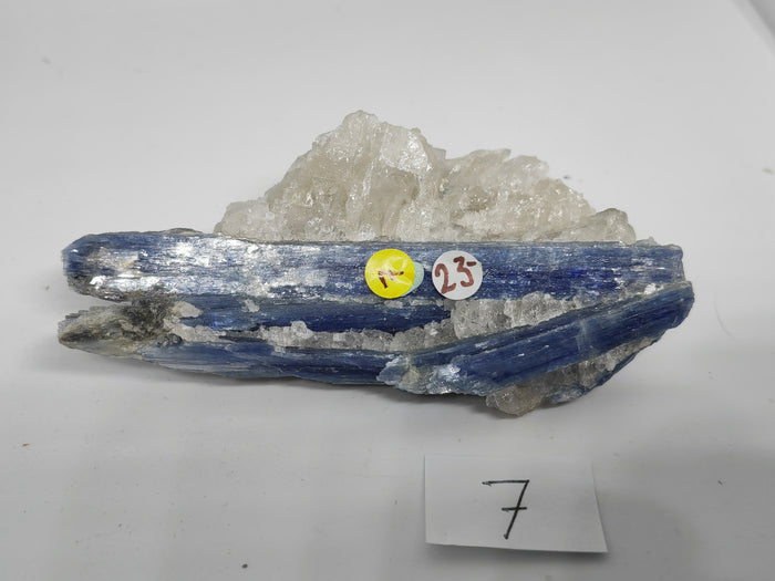 Kyanite 7 (111gm)