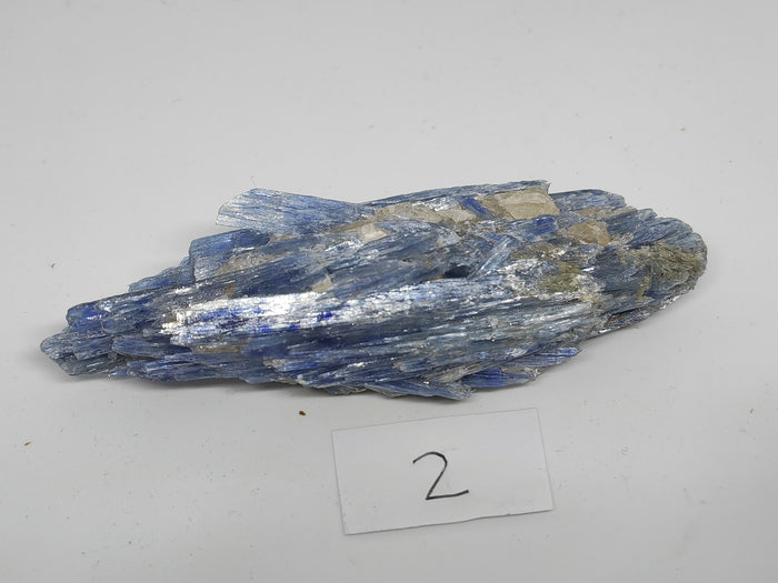 Earthstore® Kyanite - Crystal Display Pieces