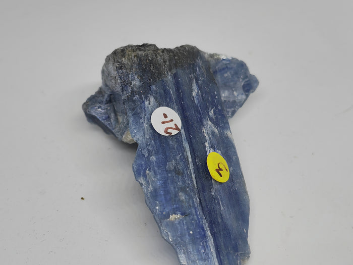 Earthstore® Kyanite - Crystal Display Pieces