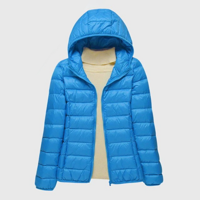 Blue Hood / S