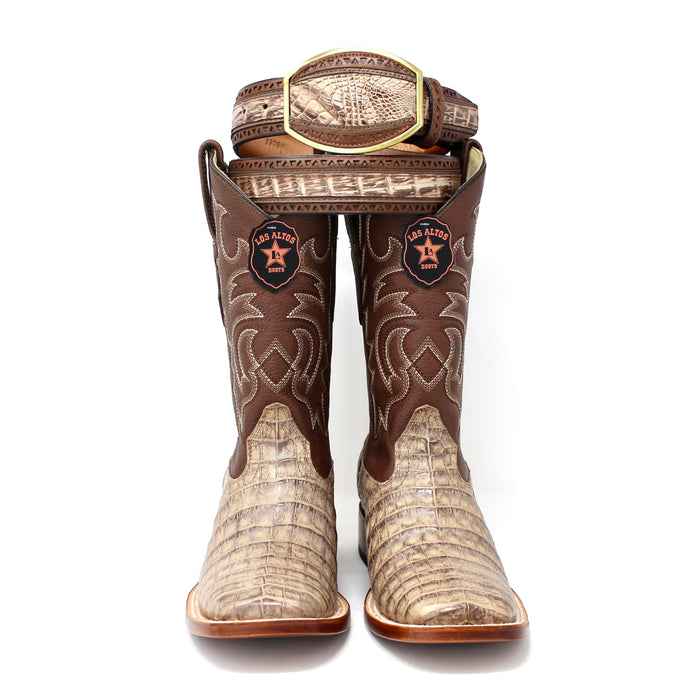 Los Altos Caiman Belly Belt- Mocha