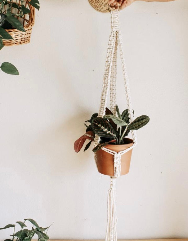 Macrame Plant Hangers