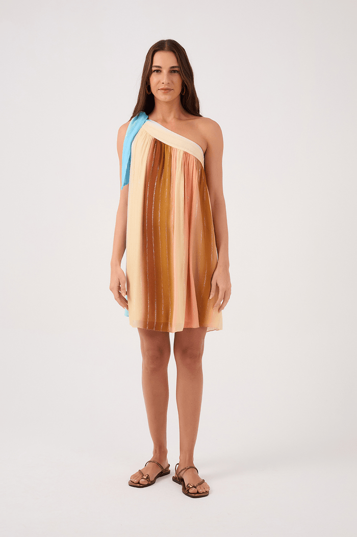 Nook Print Mini Dress_2