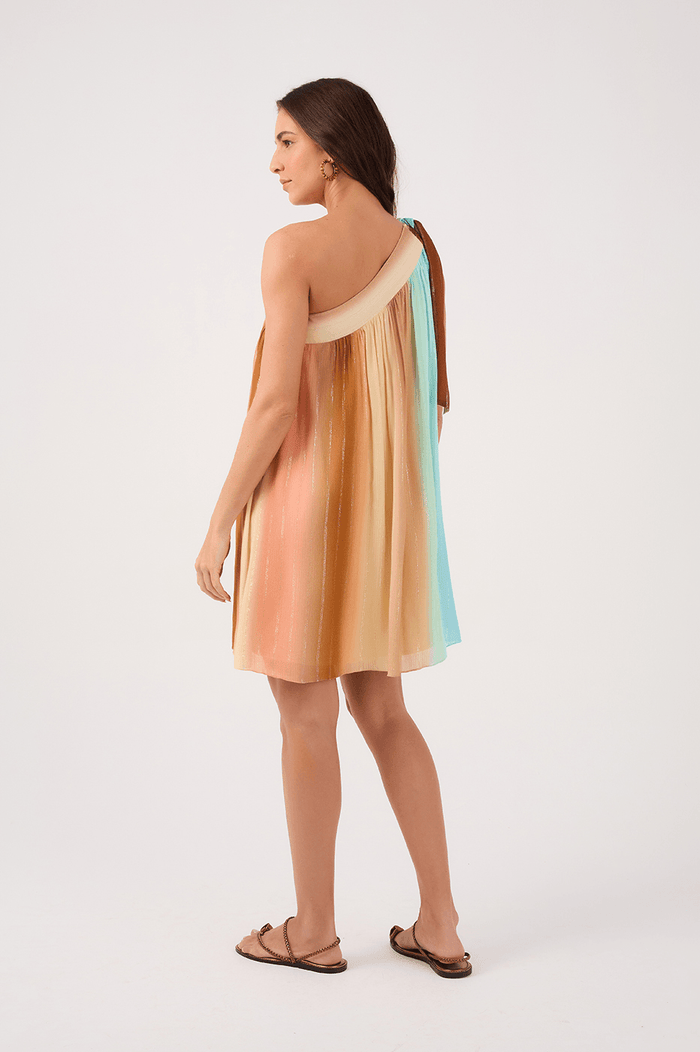 Nook Print Mini Dress_5