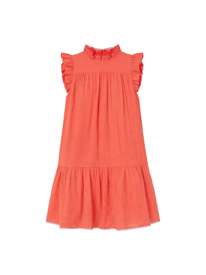 6 / Coral