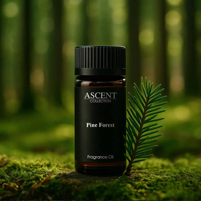 Pine Forest fragrance oil | Ascent Collection