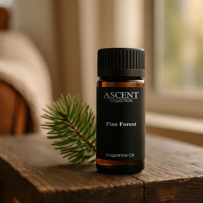Pine Forest fragrance oil | Ascent Collection