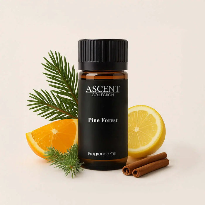 Pine Forest fragrance oil | Ascent Collection
