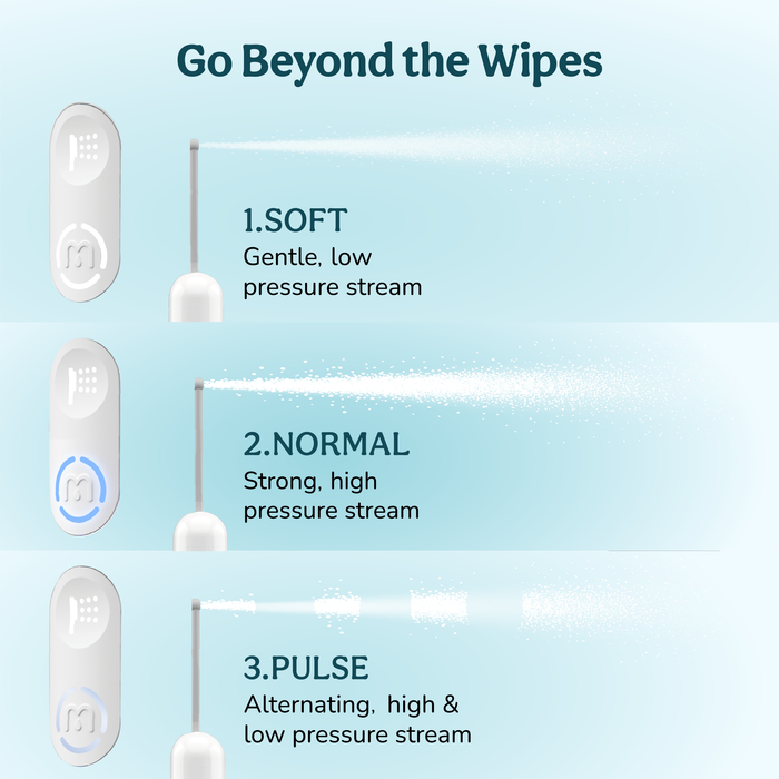 Portable Jet Spray