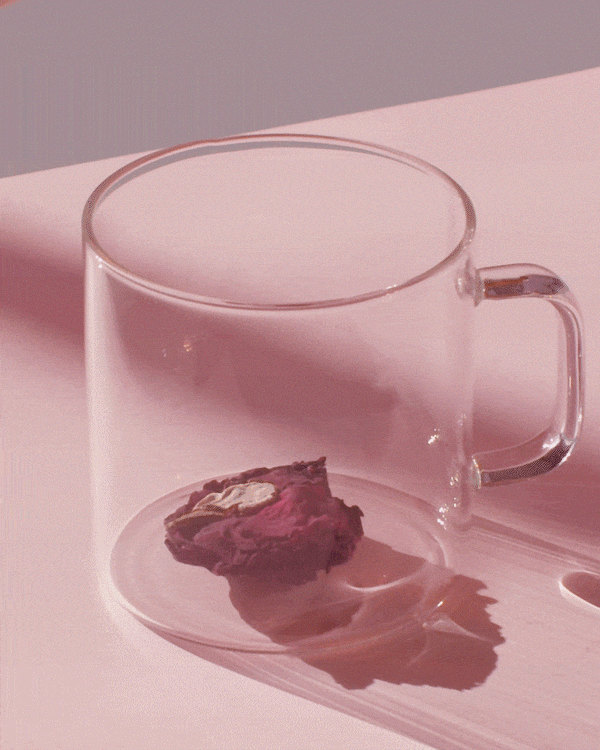 Clear glass cup containing a dried rose petal on a soft pink surface, highlighting the delicate beauty of the Shangri-La Rose | The Qi in a serene and minimalist setting.