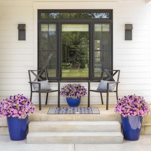 Bubblegum Pink Supertunia in Mixed Planter