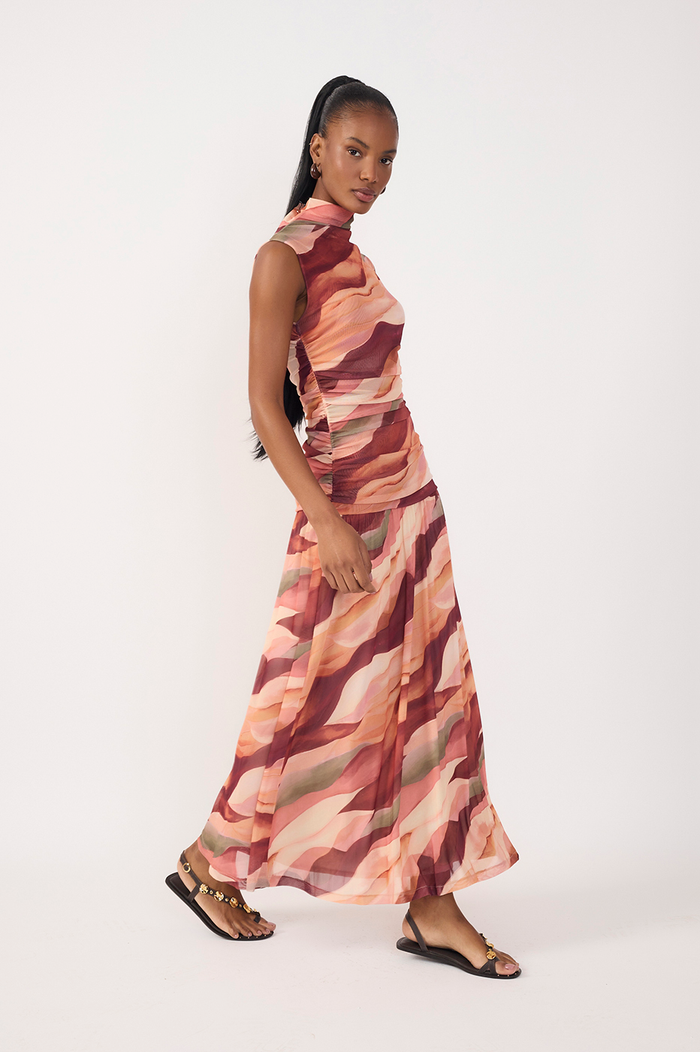 Tulle Dunas Print Dress_3