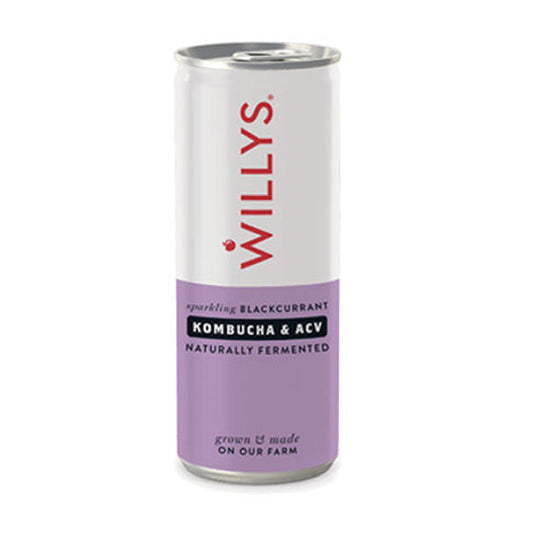 Willy's Blackcurrant Kombucha Apple Cider Vinegar 250ml