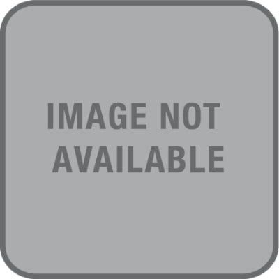 Women's Farren Leggings - Green