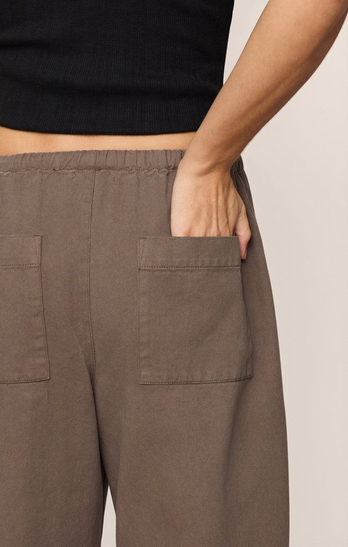 Z Supply | Kit Twill Carpenter Pant
